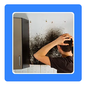 Hollywood Emergency Restoration, Hollywood, FL 954-416-2691 Hollywood Emergency Restoration, Hollywood, FL 954-416-2691 - sb-03